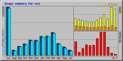 Usage summary for ns1